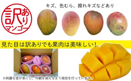 訳あり品！西原町　完熟マンゴー（中）約1.5kg