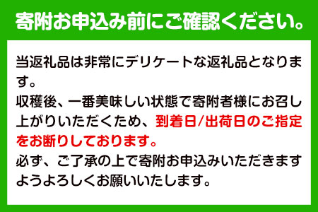 桃 もも 観音山熟れ熟れ桃（白鳳）2kg 有限会社柑香園《2024年7月中旬-7月下旬頃より順次出荷》和歌山県 紀の川市 フルーツ 果物 桃