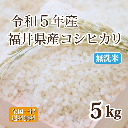 令和５年産 無洗米福井県産コシヒカリ ５kg 白米 安い 単一原料米 送料無料