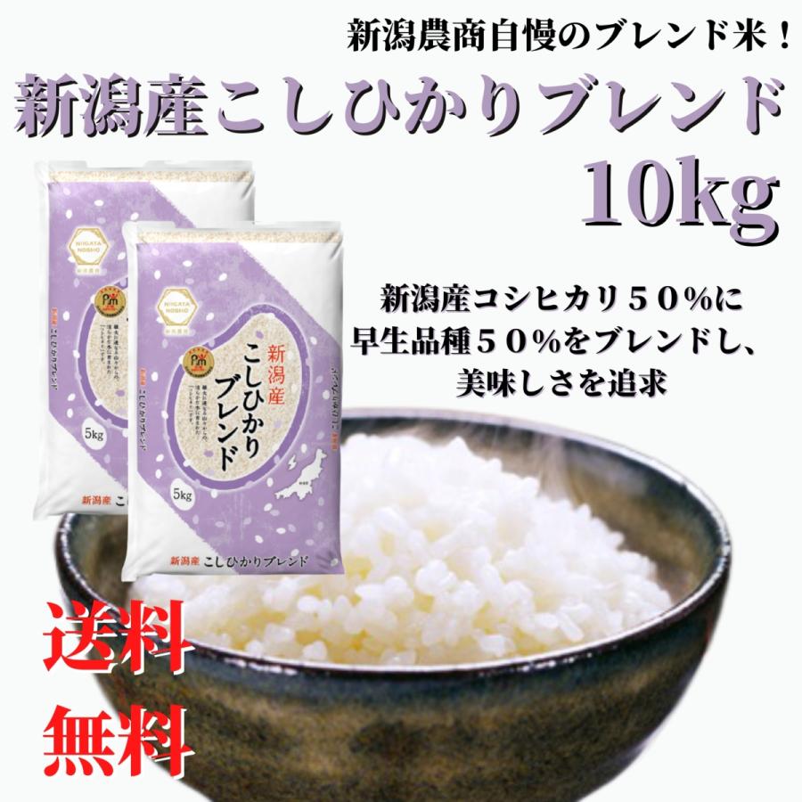 新米 令和５年産 お米 10kg (5kg×2) 白米 送料無料 業務用 家庭用 新潟産 コシヒカリブレンド 精米