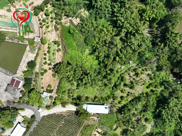 專約-三峽溪南潛力農地太平洋同心圓采樺姐｜新北市三峽區溪南段