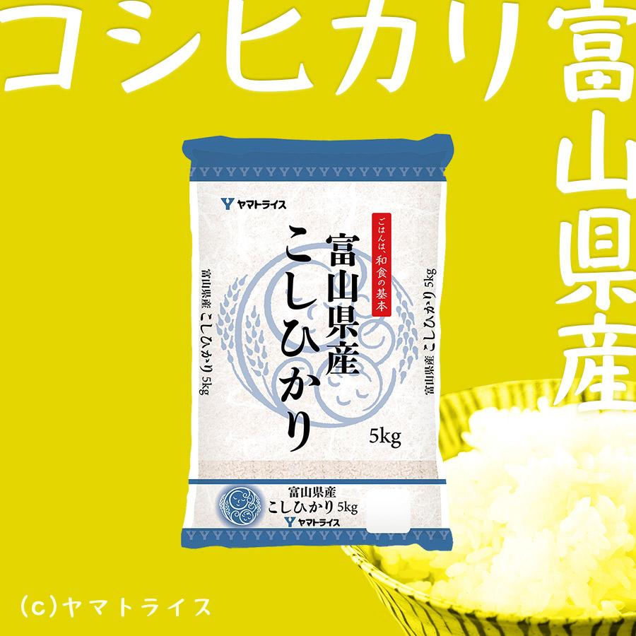 米 お米 コシヒカリ 5kg 富山県産 令和5年産 白米