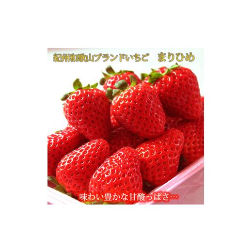 ふるさと納税 和歌山県 太地町 紀州和歌山ブランドいちご「まりひめ」約２８０ｇ×２Ｐ※2024年1月上旬頃〜3月上旬頃順次発送