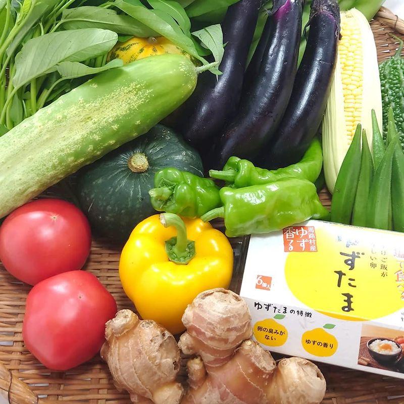 高知県産 野菜たっぷり10品目以上＋たまご「ゆずたま」野菜セット 採れたて 旬の新鮮お野菜 おまかせ詰め合わせ