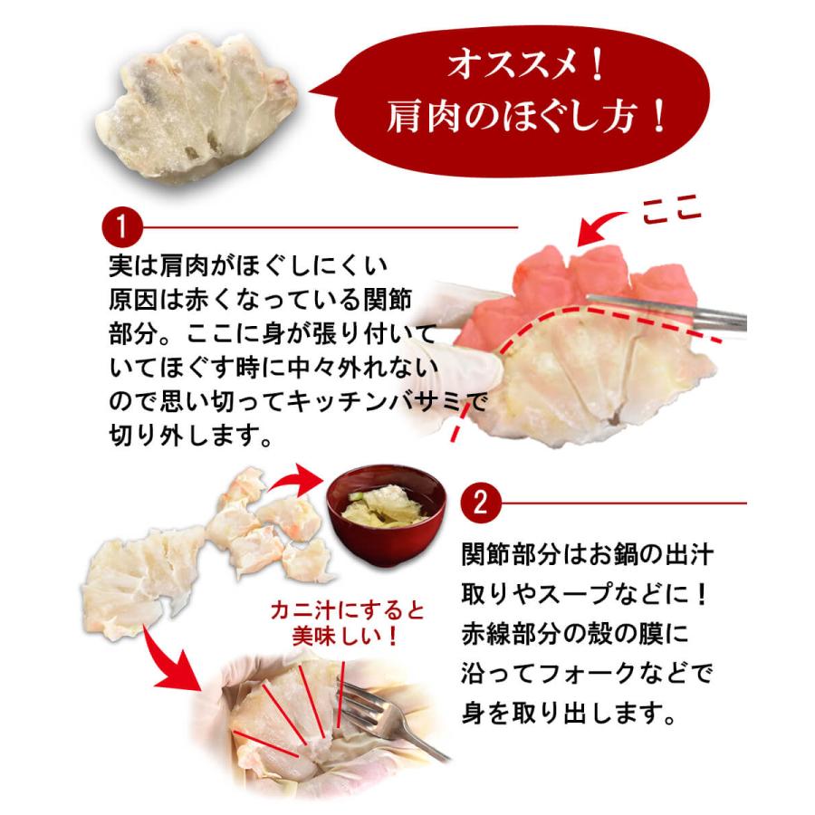 生ずわい 肩肉 500g お刺身OK 冷凍 ずわい 蟹 お買い得 お手頃 お歳暮 冬ギフト 鍋