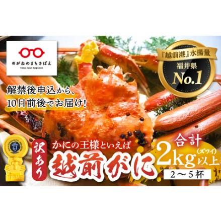 ふるさと納税 福井の冬の王様！越前がに 合計2kg以上（2?5杯）3?5人前　 福井県鯖江市