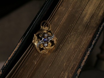 1890-1900s 法國 新藝術蕨葉雙色墜