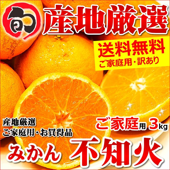 産地厳選 みかん 不知火(しらぬい) 3kg(ご家庭用 8〜20玉入り)