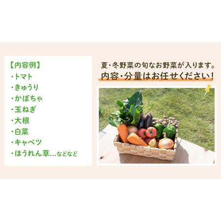 ふるさと納税 「ベジーズ館」の夏・冬野菜　年２回コース （7月と12月発送） 兵庫県相生市