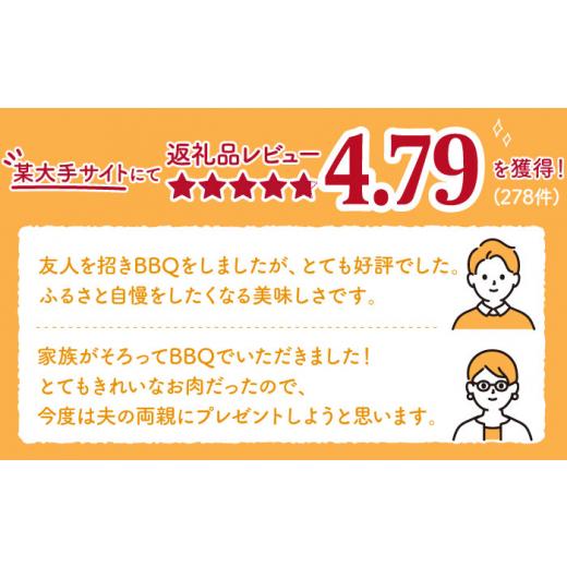 ふるさと納税 佐賀県 嬉野市 佐賀牛 A5 厳選部位 焼肉用 800g （400g×2P） [NAB231]