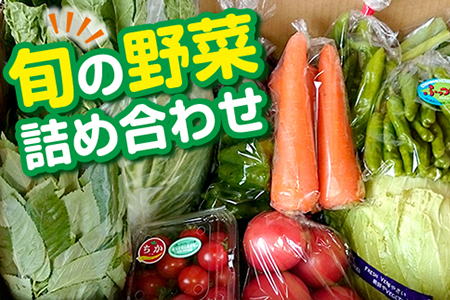 旬の野菜詰め合わせBOX