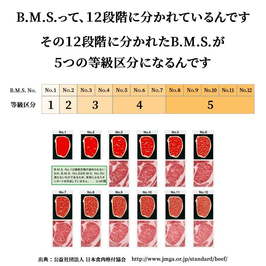 お歳暮 御歳暮 肉 焼肉 牛 牛肉 ヒレ ステーキ 赤身 A5 黒毛和牛 BMS11 170g 冷凍 プレゼント ギフト 贈り物