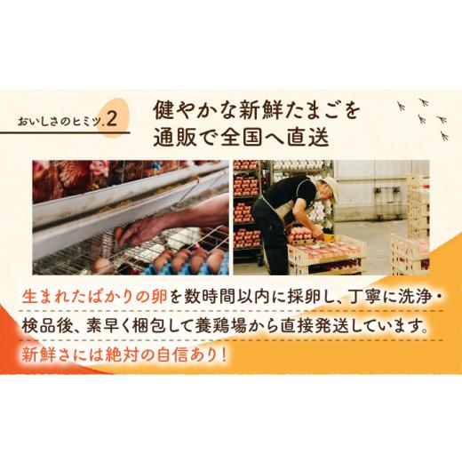 ふるさと納税 熊本県 山鹿市  赤たまご M玉 40個 (37個＋割れ保証3個) [ZCA003] 贈答  鶏卵 玉子