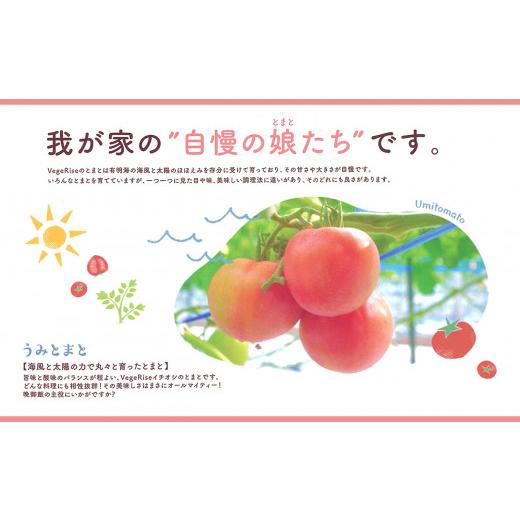 ふるさと納税 熊本県 玉名市 玉名市産トマト「うみとまと」 4kg