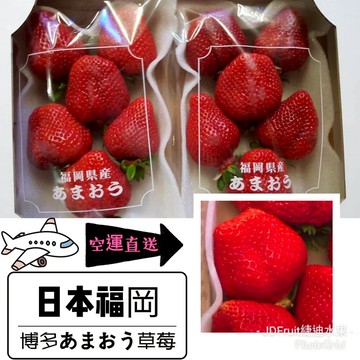 【緁迪水果JDFruit】日本博多福岡草莓  14~22粒 /箱(600g+-10%/箱)??~ 草莓中的甜王款-送禮首選-季節限定