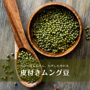 ムング豆ホール Moong Whole 皮付き緑豆   ダール ムングダル アンビカ(AMBIKA) スパイス カレー アジアン食品 エスニック