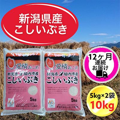 ふるさと納税 胎内市 新潟県胎内市産こしいぶき10kg(5kg×2袋)全12回