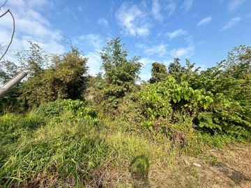 [仁武觀音湖畔] 風景區面寬臨路便宜都內土地｜高雄市仁武區觀音湖段