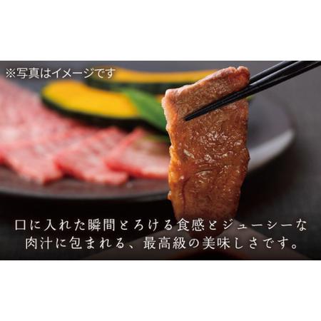 ふるさと納税 長崎和牛 ロース 焼肉用 約600g[KAD154]  長崎 平戸 肉 牛 牛肉 黒毛和牛 和牛 焼肉 ロース.. 長崎県平戸市