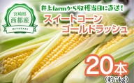 井上farm とうもとこし栽培40年！朝どれゴールドラッシュ 20本入約7kg＜1-235＞