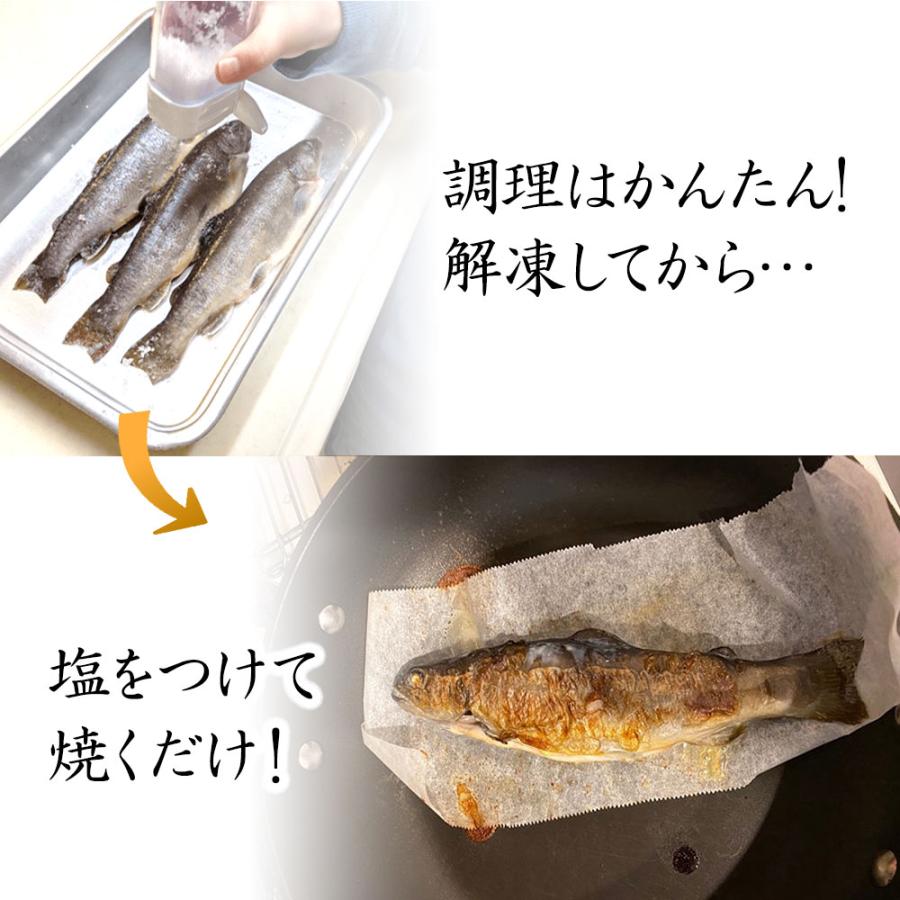 イワナ 岩魚 冷凍 川魚 養殖 骨酒 塩焼き 誕生日 ギフト 加熱用 10尾 串なしタイプ