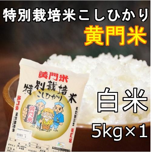 新米!!5年産黄門米特別栽培米こしひかり白米5kg　茨城県　常陸太田　コシヒカリ