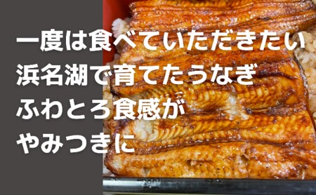 うなぎ 浜名湖 蒲焼き 2本 タレ 山椒 お吸い物 セット 国産 鰻 浜名湖うなぎ 浜名湖産 蒲焼 真空パック 惣菜 おかず ごはんのお供 魚 魚介 魚介類 加工食品 静岡 湖西市 湖西