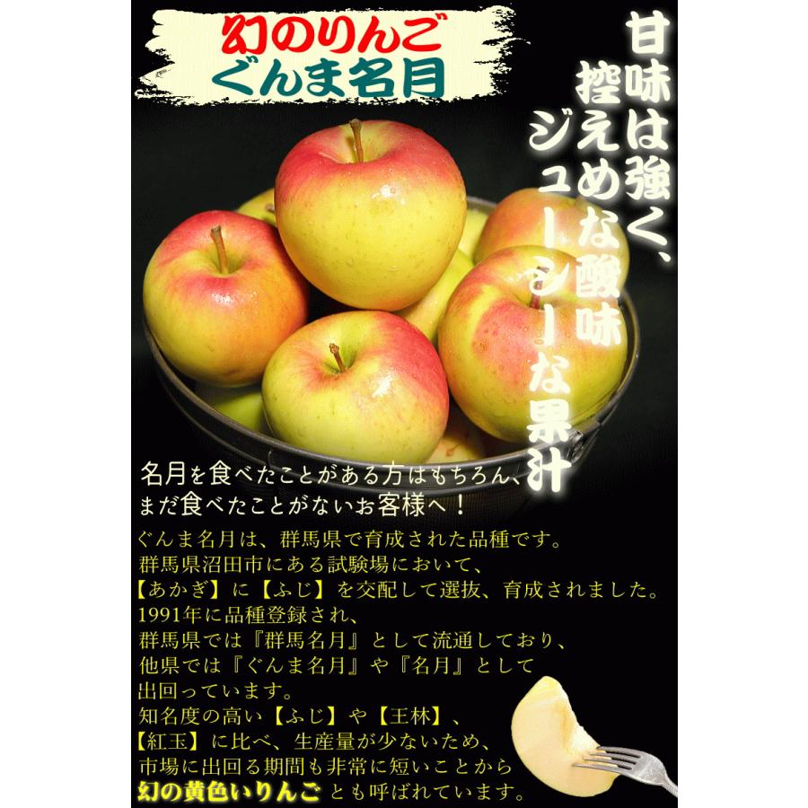 クーポンで200円引き！あすつく 青森 りんご 3kg箱 ぐんま名月 送料無料 家庭用 訳あり 青森 リンゴ 訳あり 3キロ箱★名月 家訳 3kg箱