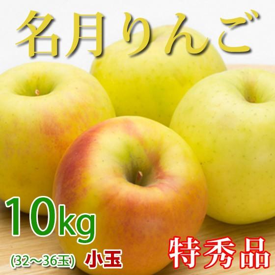 [ポイント5倍] 名月りんご 長野県産 10kg 特秀 小玉 32-36玉 お歳暮に