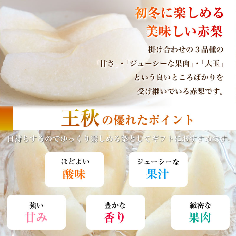 [予約 2023年11月1日-11月30日の納品] 王秋 梨 約2kg 2-5玉 鳥取 福島産ほか 初冬 糖度約12度 和梨 冬ギフト お歳暮 御歳暮