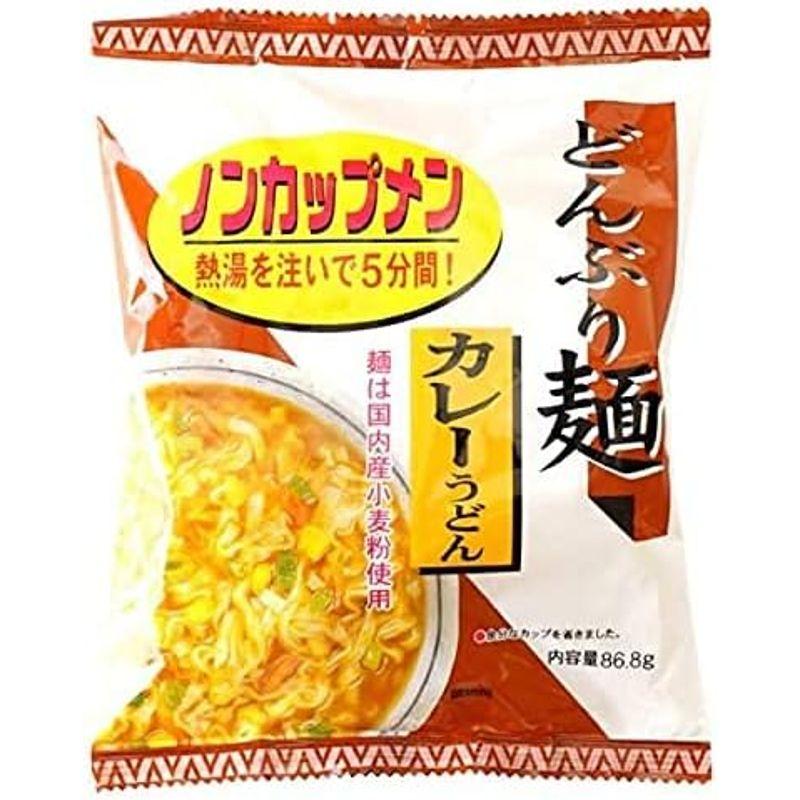 無添加 どんぶり麺 ノンカップメン カレーうどん 1食分 48袋