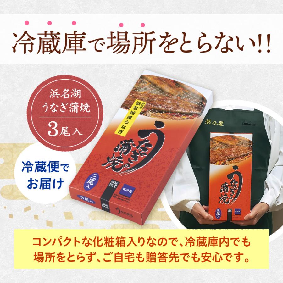 うなぎ 蒲焼 140g×3尾入り 3〜4人分 浜名湖産 送料無料 国産 ギフト お祝い 内祝 浜名湖 土用の丑の日 お取り寄せ グルメ プレゼント 鰻 ウナギ かば焼  贈答