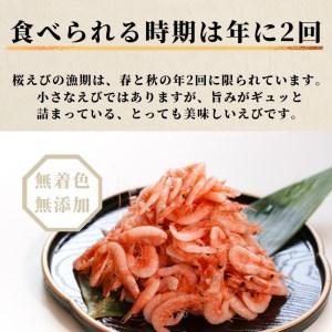 ふるさと納税 a15-562　焼津特選 生桜えび 100g×5 静岡県焼津市