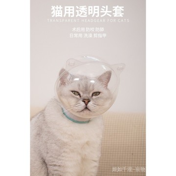 寵物透明貓頭套頭罩塑料貓口罩防咬防舔貓頭罩伊麗莎白圈