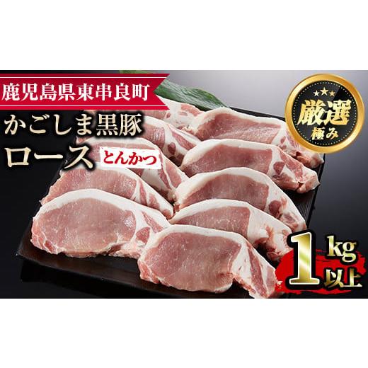 ふるさと納税 鹿児島県 東串良町 かごしま黒豚ロースとんかつ用(計1kg・約100g×10枚)