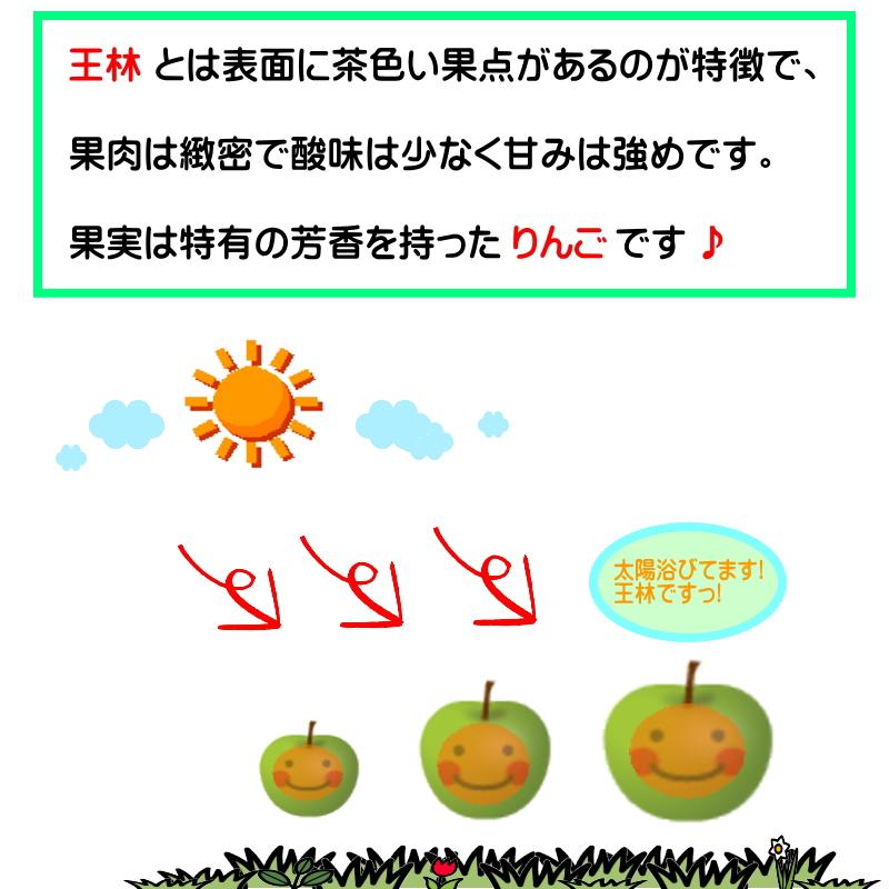 王林  おうりん オウリン 訳あり 3kg 青森産 リンゴ 林檎 りんご 葉とらずりんご