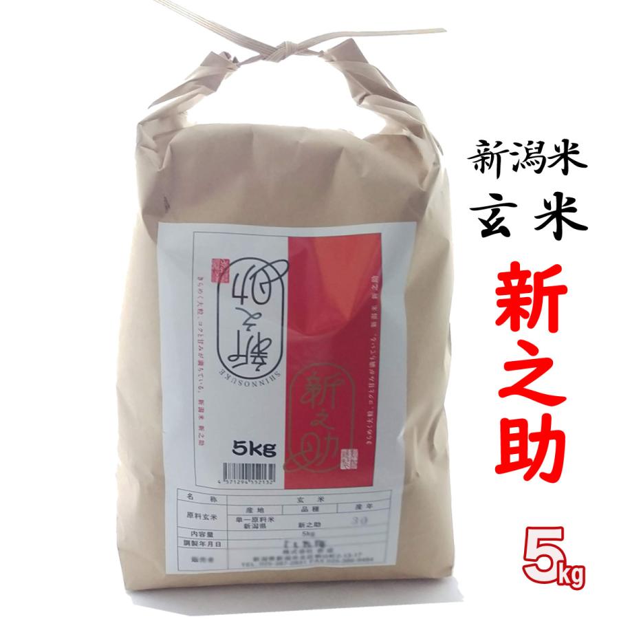 新米 玄米 新之助 5kg 新潟産 (新潟米 お米  令和5年産 R5)