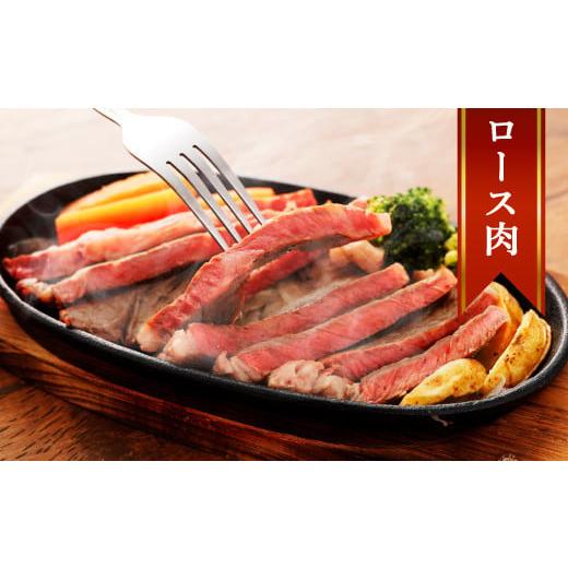 ふるさと納税 熊本県 益城町 熊本産 ステーキ用 あか牛 ヒレ肉 ロース肉 2種類 合計700g