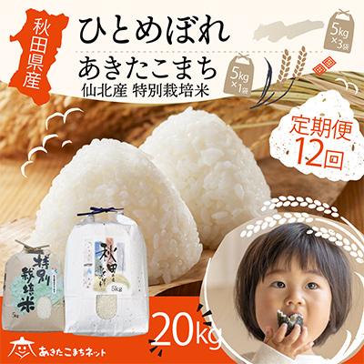 ふるさと納税 秋田市 秋田県産ひとめぼれ15kg・仙北産あきたこまち特栽米5kgセット 全12回