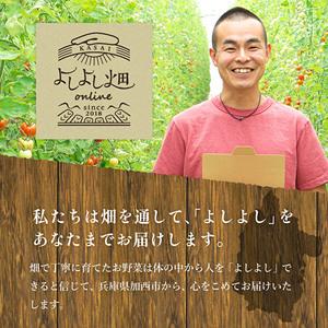 ふるさと納税 朝どり とうもろこし 5本（2kg前後）よしよし畑 農家直送 朝どれ 新鮮 兵庫県産 キャンプ BBQ アウトドア 小分.. 兵庫県加西市