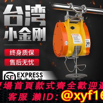 {可打統編 保固一年}小金剛電動葫蘆220V吊機家用小型升降遙控便攜電葫蘆提升機卷揚機