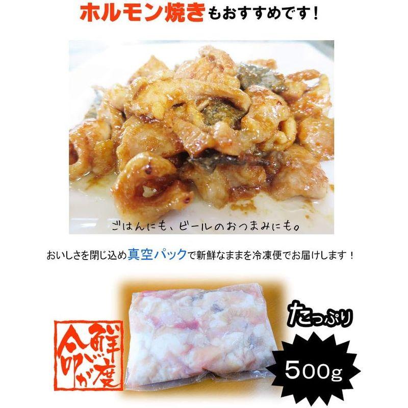 熊本和牛あか牛 ミックスホルモン 500gもつ鍋、焼肉、バーベキュー、ホルモン焼きに下味なし（4種）小腸・大腸・センマイ・アカセンマイ