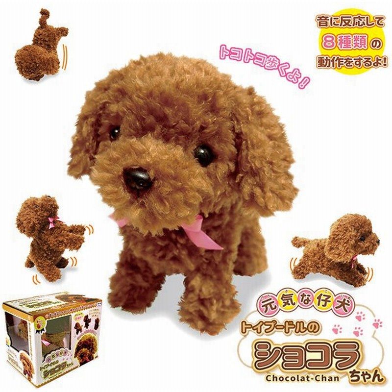 犬 ぬいぐるみ 動く 通販 トイプードル 動くおもちゃ ふわふわ ショコラちゃん 小さい 人形 子犬 かわいい 動物 玩具 アニマル ペット キッズ 子ども 子供 通販 Lineポイント最大get Lineショッピング