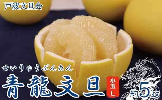 《戸波文旦会》 青龍文旦（せいりゅうぶんたん）約5kg（小玉Lサイズ）高知産 柑橘 フルーツ 文旦 ぶんたん ブンタン 果物 お取り寄せ おいしい 美味しい 故郷納税 ふるさとのうぜい 返礼品 高知県 高知 土佐