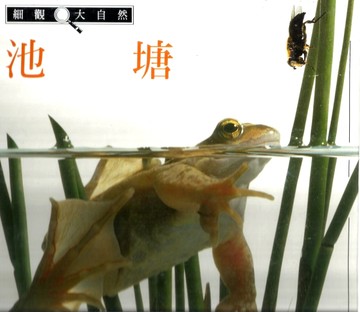 池塘[二手書_良好]
