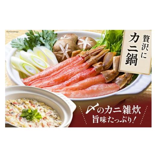 ふるさと納税 宮城県 気仙沼市 極太 生本ずわいがに 棒肉ポーション 約500g 15本〜20本入り 殻剥き不要 脚肉のみ [カネダイ 宮城県 気仙沼市 20562794] カ…