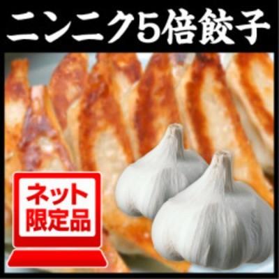 餃子 お取り寄せ ニンニク5倍餃子50個 ぎょうざのたれ付き ビール おつまみ