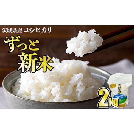 ふるさと納税 令和5年産 コシヒカリ 冬眠米 2kg 茨城県産 白米 精米 ごはん お米 冬眠 とうみんまい ブランド米 検査米 単一原料米 国産 守谷市 .. 茨城県守谷市