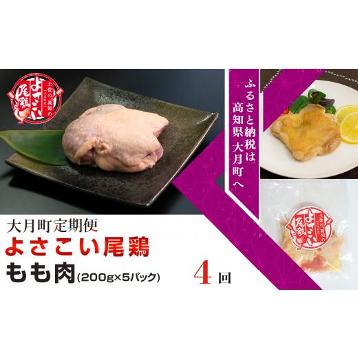 ふるさと納税 高知県 大月町 よさこい尾鶏 もも肉（200g×5パック）計4回