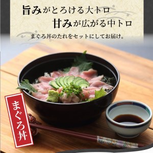 鷹島産最高級本まぐろ 大中合わせて400g(まぐろ丼たれ付き)（マグロ 本マグロ 鷹島産本マグロ まぐろ 本まぐろ 鷹島産本まぐろ 鮪 本鮪 鷹島産本鮪 マグロ丼 まぐろ丼 鮪丼 本マグロ大トロ 本まぐろ大トロ 本鮪大トロ 本マグロ中トロ 本まぐろ中トロ 本鮪中トロ）